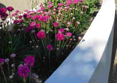 mediterrane tuin | verhoogde border | ronde tuinmuur | gestucte tuinmuur | vaste planten | armeria